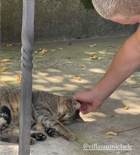 ig: turtlesafari
