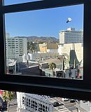 IMG_4421.PNG